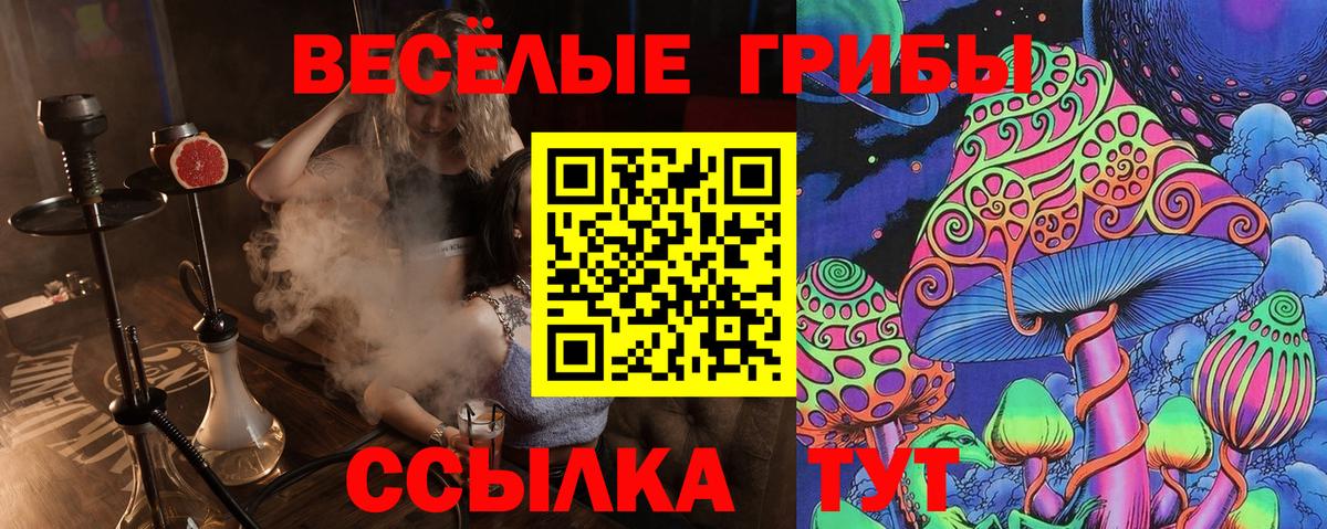 Псилоцибиновые грибы Magic Shrooms  Вход с VPN  Кудрово 