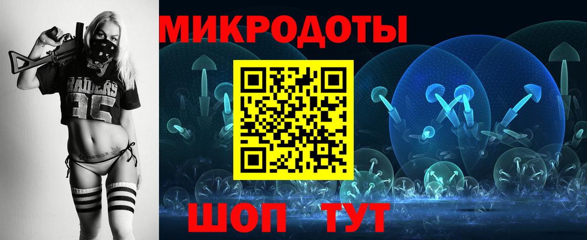 Псилоцибиновые грибы мицелий Кудрово