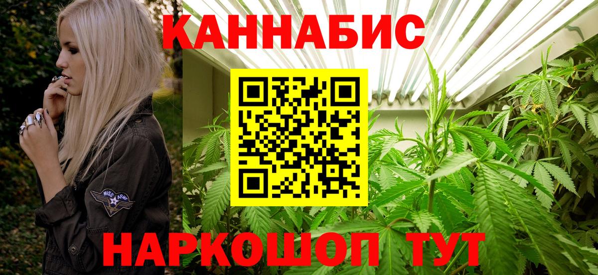 Марихуана OG Kush Кудрово